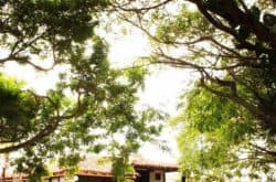 Eventos La Hacienda