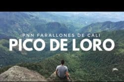 Pico de Loro