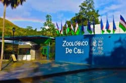 Zoologico de Cali